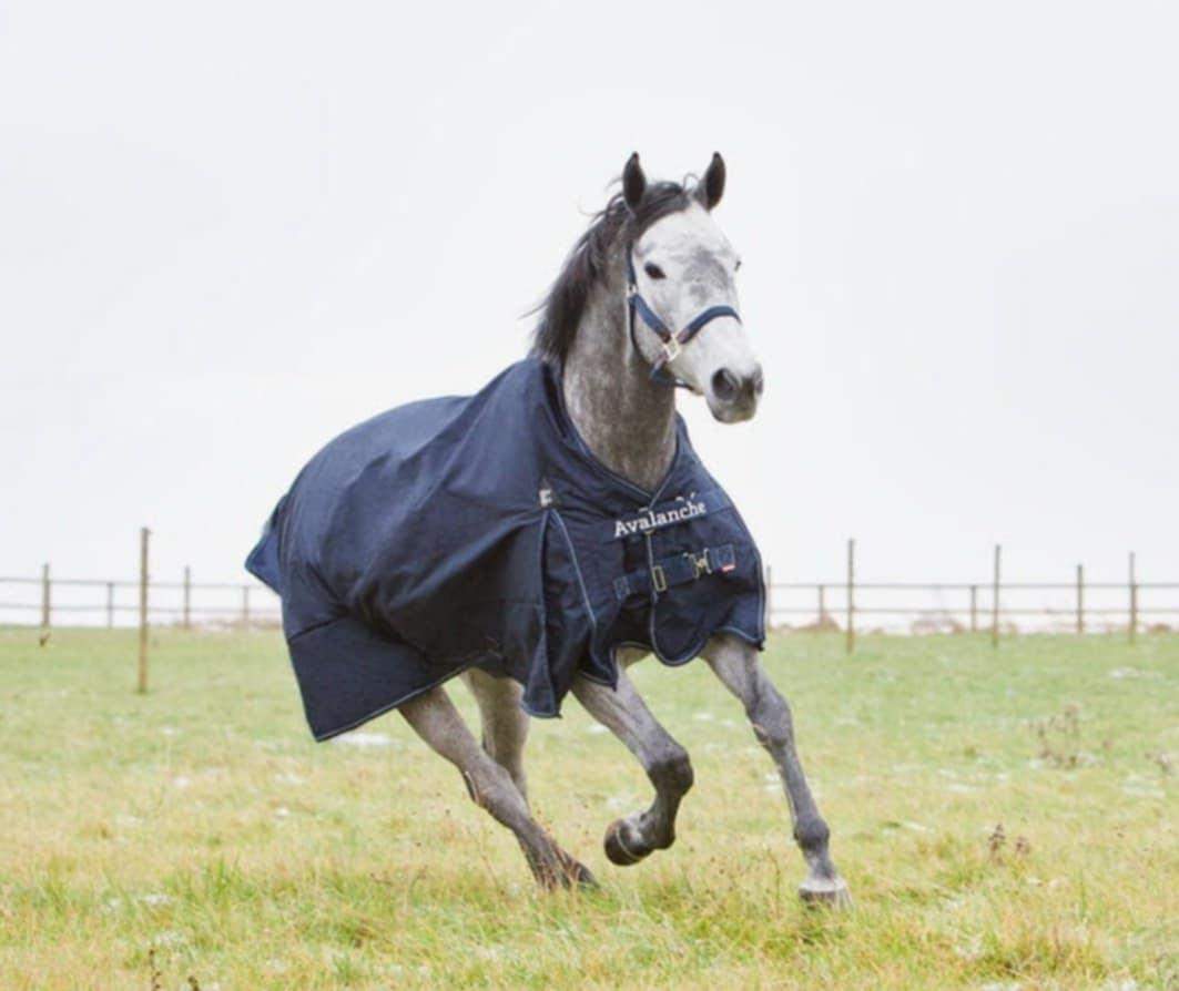 Horze Avalanche Przeciwdesczowa derka padokowa