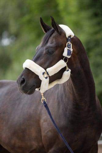 Kantar SuperSoft, navy, Covalliero