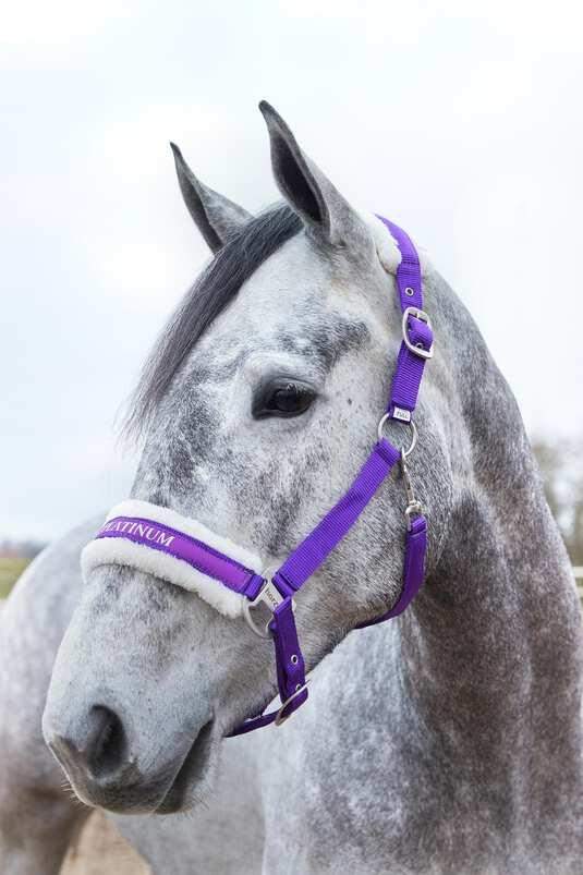 Kantar Howard Halter Horze