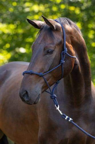 Kantar dla konia, sznurkowy, granatowy, Covalliero