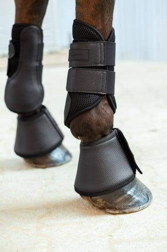 Ochraniacze Avina, czarny, ujeżdżeniowe / robocze