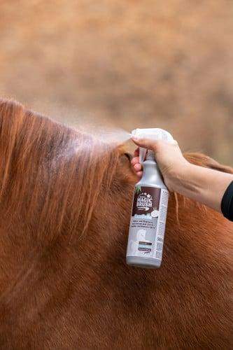 Spray do pielęgnacji sierści, grzywy i ogona dla konia ManeCare Coco Bello, 500 ml, MagicBrush