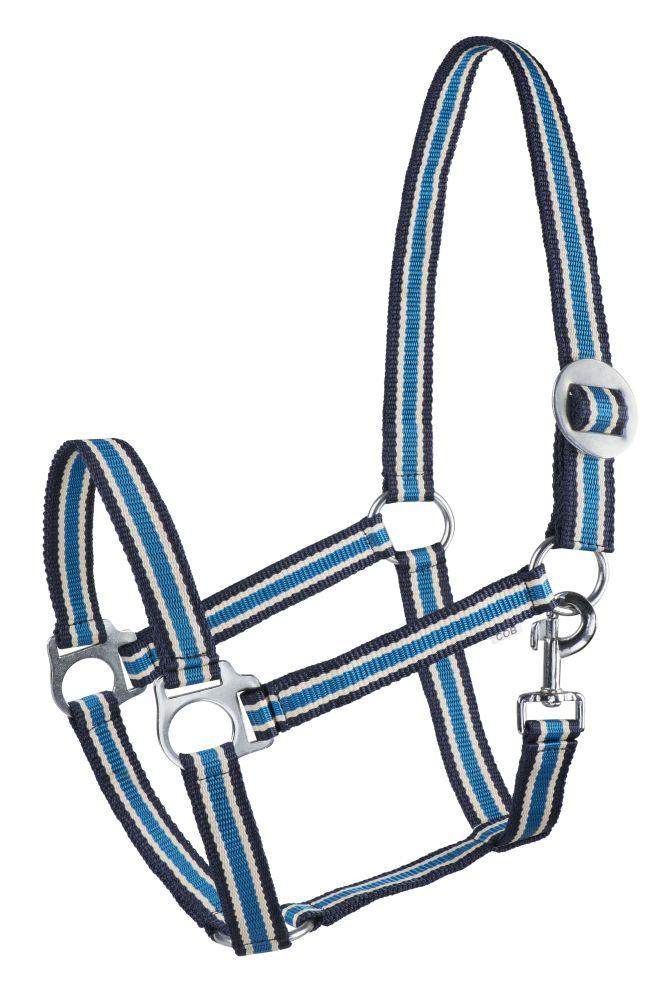 Kantar START Economic