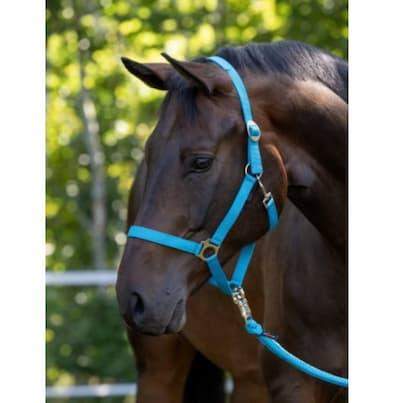 Kantar dla konia Hippo, niebieski, Full, Covalliero