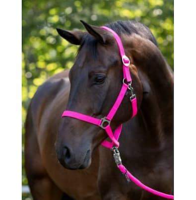 Kantar dla konia Hippo, różowy, Full, Covalliero